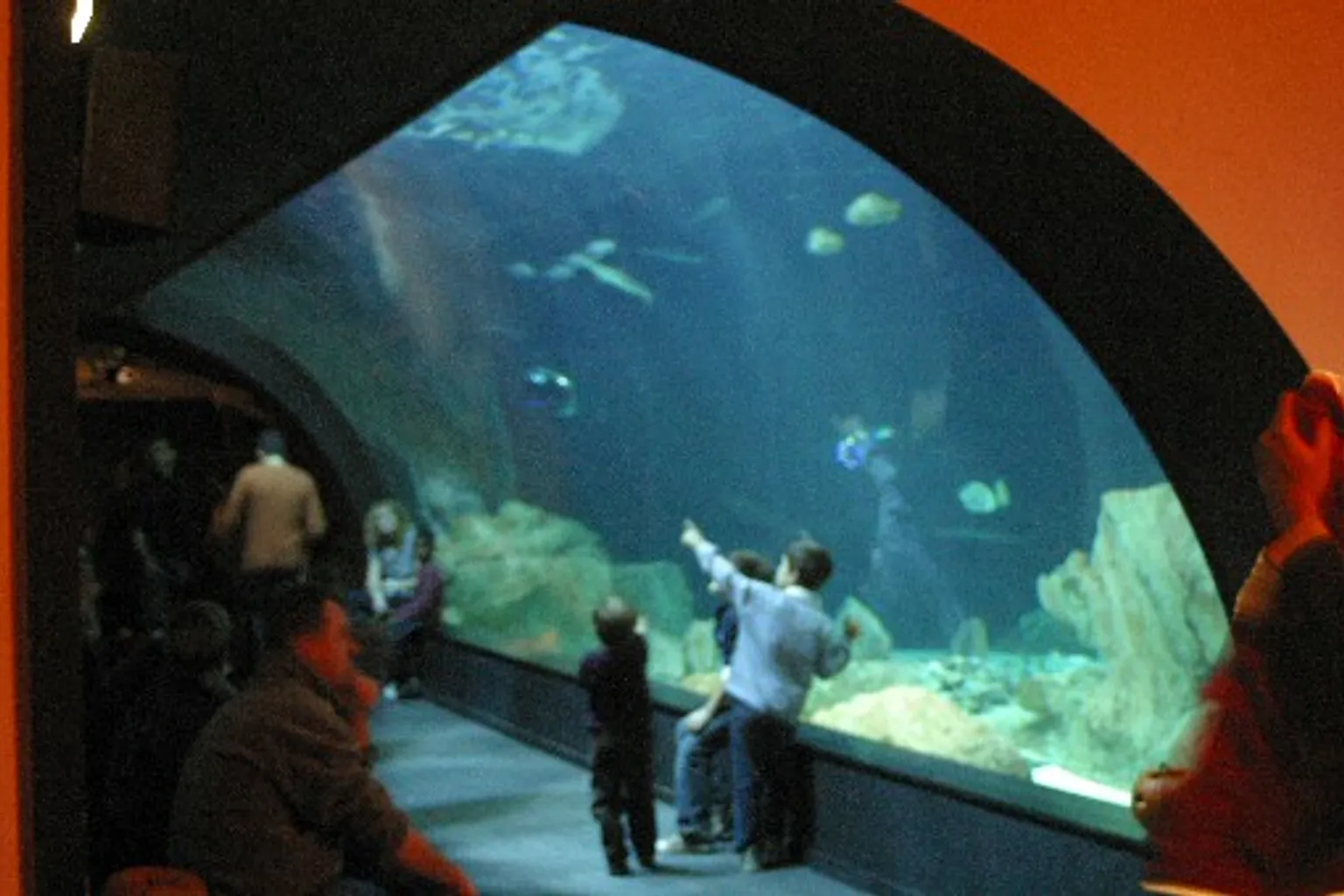 Aquarium de Paris tarifs : formule groupe ou Pass Culture ?
