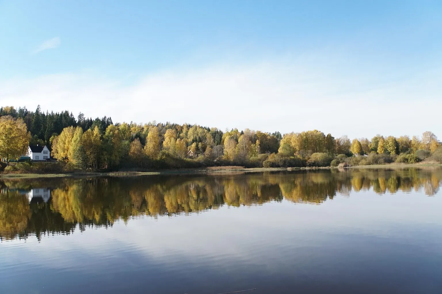 Forest Lagoon : les clés pour réserver son entrée